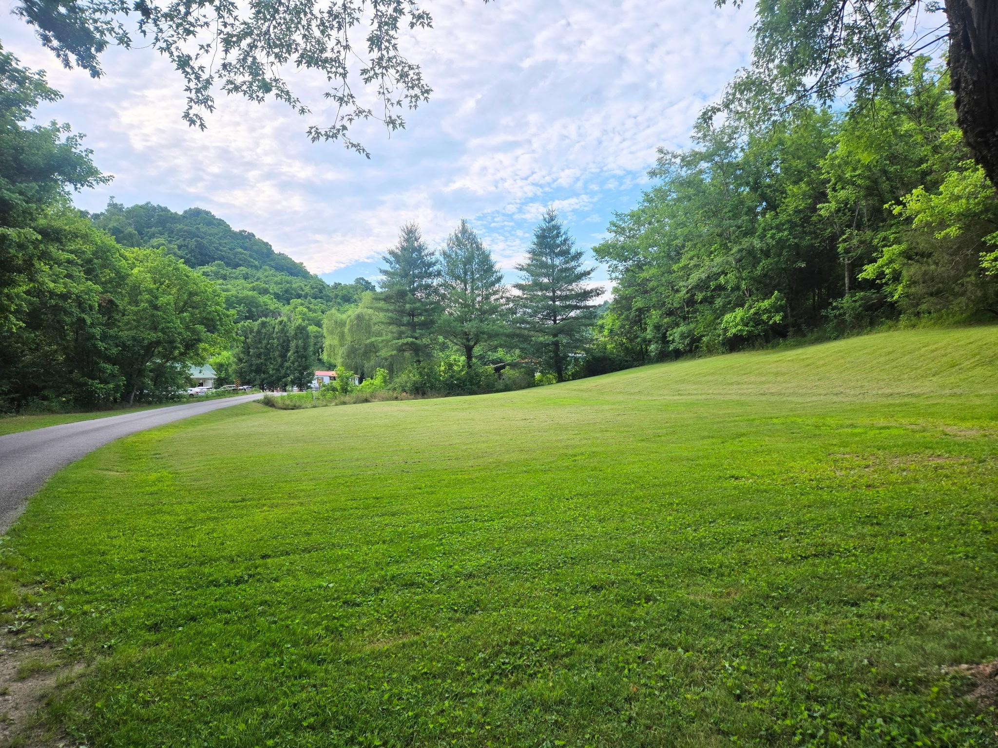 0 Dog Branch Road South Pleasant Shade, TN 37145 - Photo 14 of 14