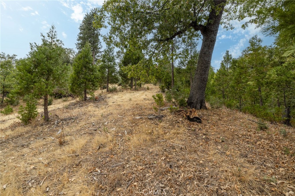 26 Timberview Road North Fork, CA 93643 - Photo 54 of 60