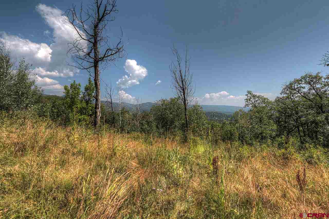 Tbd East Tbd E Destination Ranch Road Durango, CO 81301 - Photo 11 of 17 Gallery Image 11