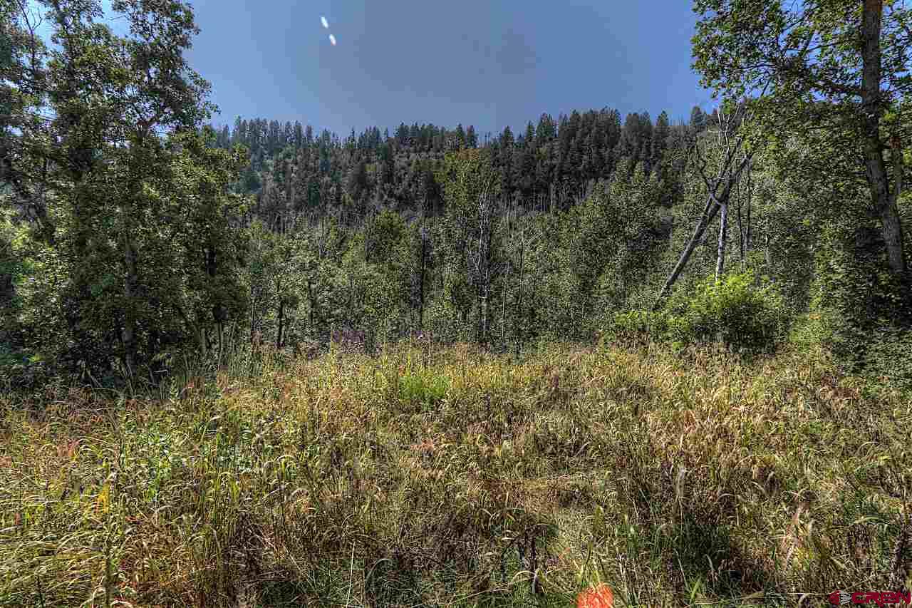Tbd East Tbd E Destination Ranch Road Durango, CO 81301 - Photo 12 of 17 Gallery Image 12