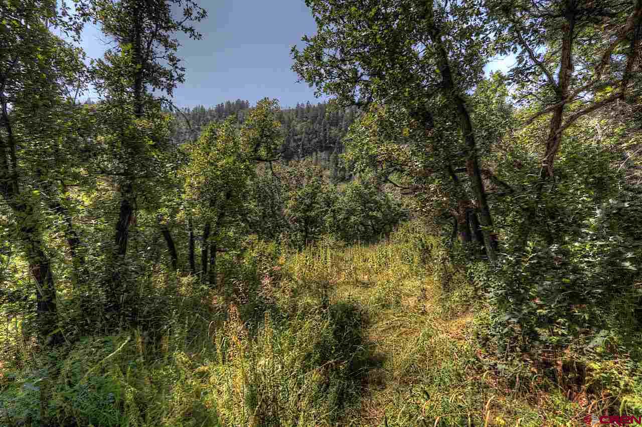 Tbd East Tbd E Destination Ranch Road Durango, CO 81301 - Photo 13 of 17 Gallery Image 13
