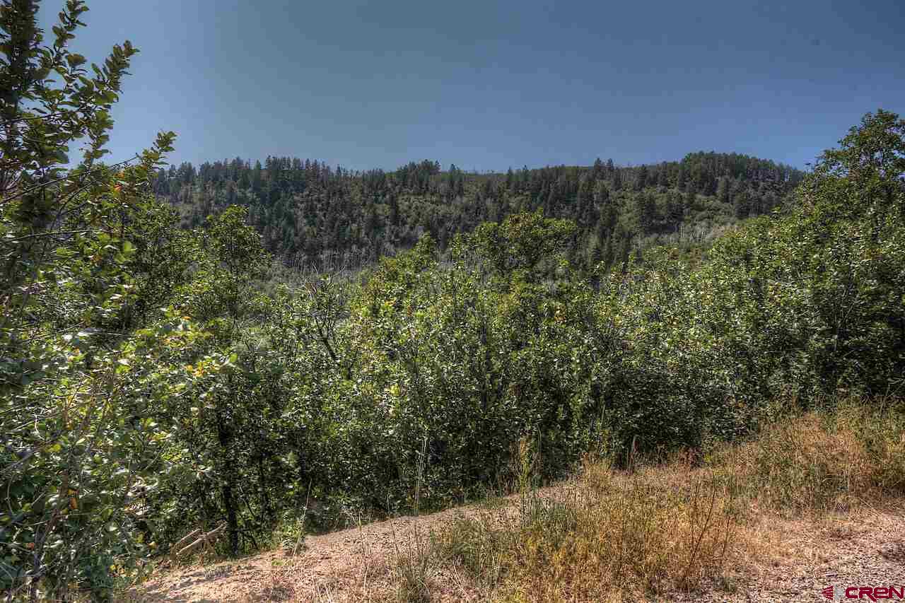Tbd East Tbd E Destination Ranch Road Durango, CO 81301 - Photo 14 of 17 Gallery Image 14