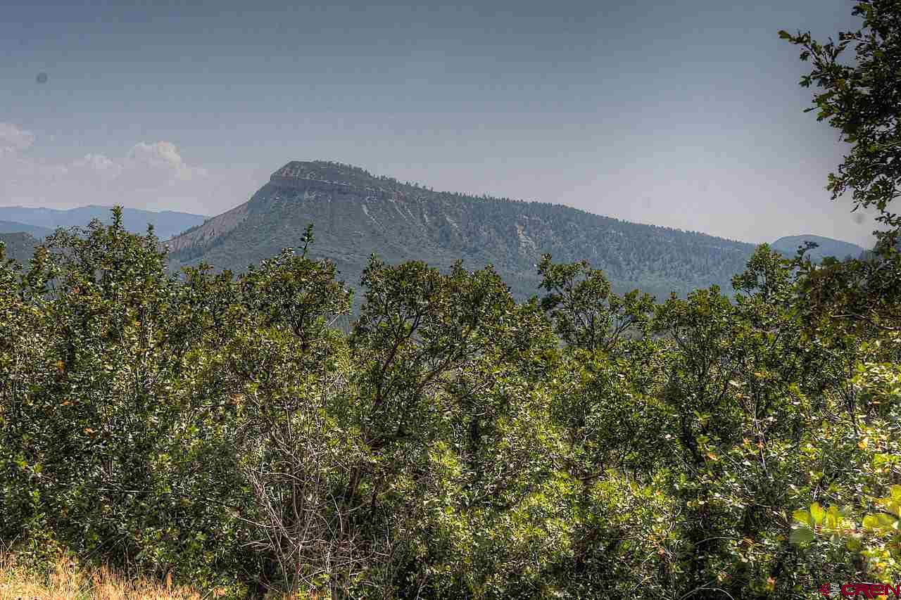 Tbd East Tbd E Destination Ranch Road Durango, CO 81301 - Photo 15 of 17 Gallery Image 15