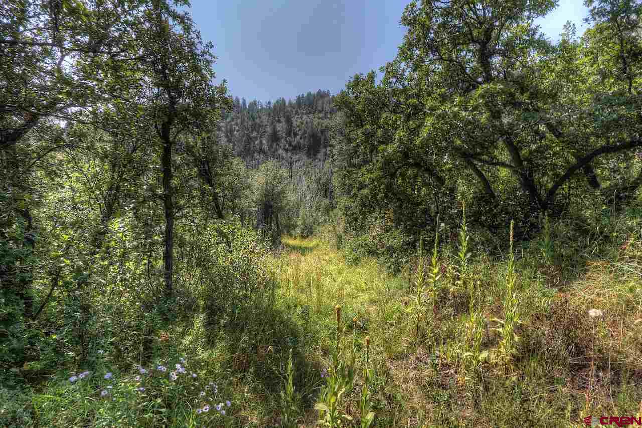 Tbd East Tbd E Destination Ranch Road Durango, CO 81301 - Photo 4 of 17 Gallery Image 4
