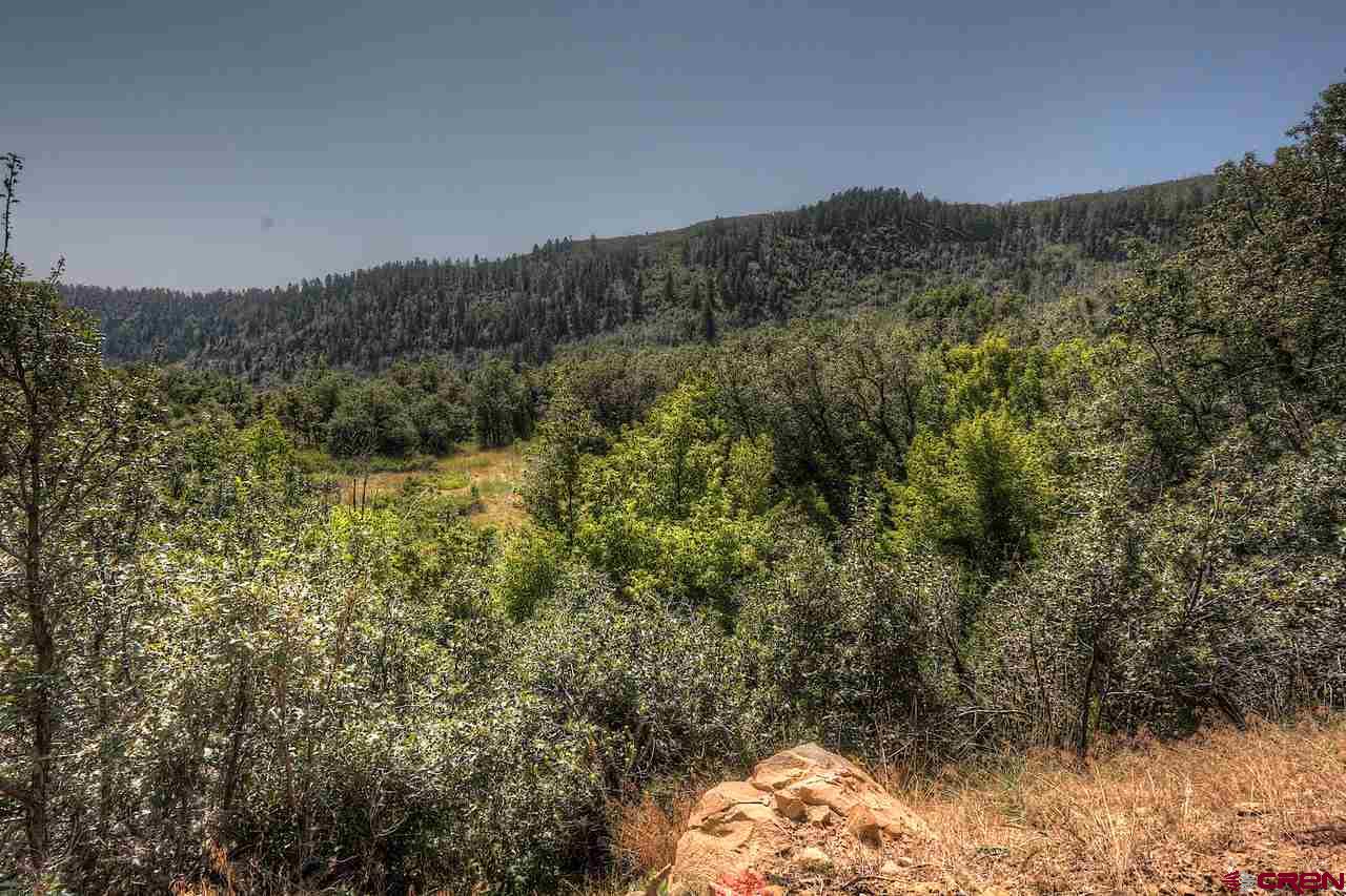 Tbd East Tbd E Destination Ranch Road Durango, CO 81301 - Photo 5 of 17 Gallery Image 5