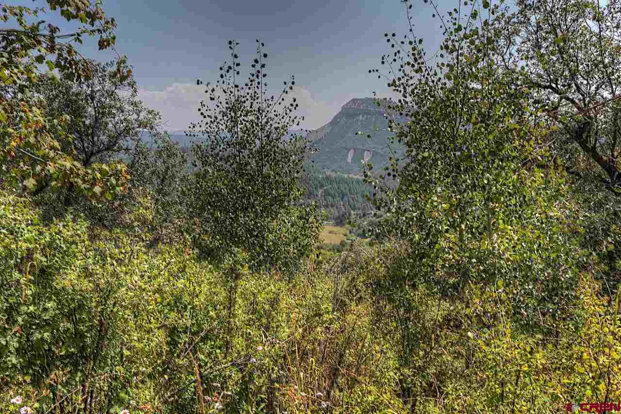 Tbd East Tbd E Destination Ranch Road Durango, CO 81301 - Photo 9 of 17 Gallery Image 9