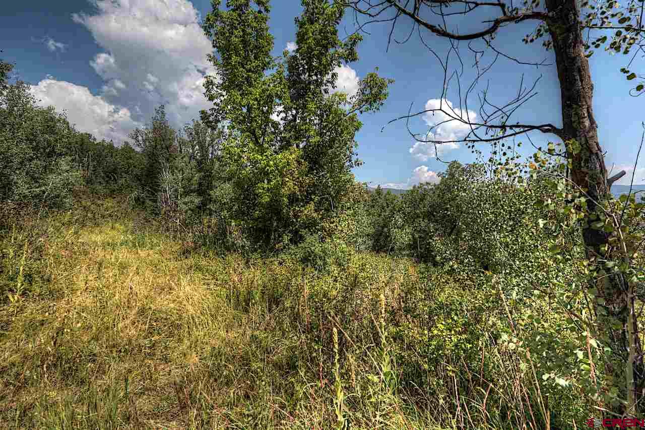 Tbd East Tbd E Destination Ranch Road Durango, CO 81301 - Photo 10 of 17 Gallery Image 10
