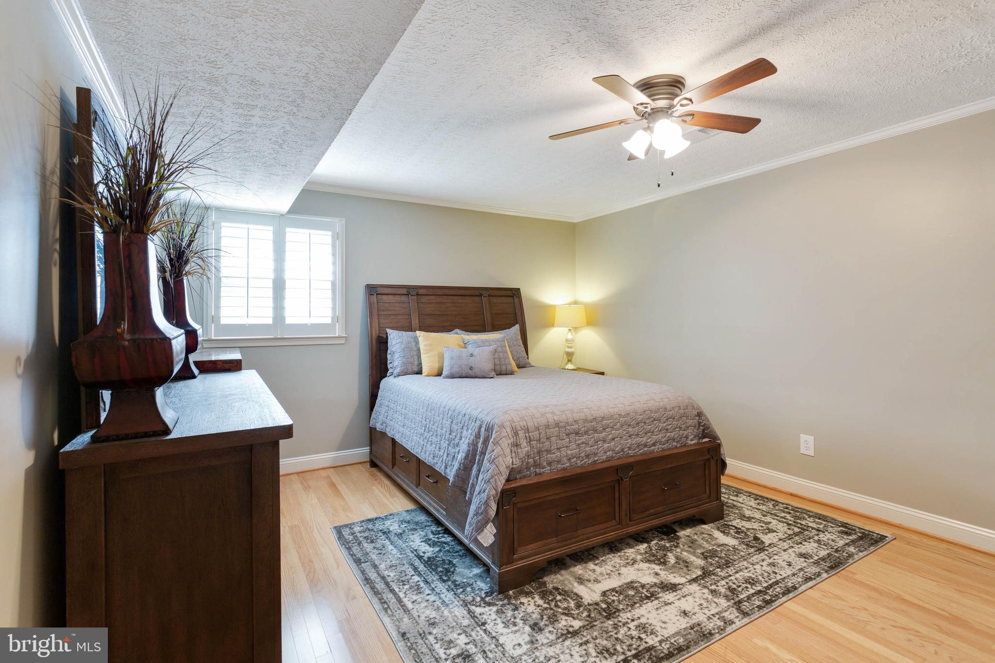 3909 Rive Drive Alexandria, VA 22309 - Photo 22 of 26 Bedroom #5 Lower Level