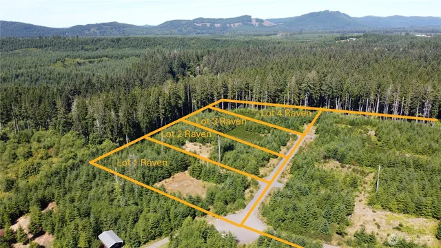 $90,000 | 9999 King Johns-lot 2 Raven Sp Way Forks, Forks, WA 98331