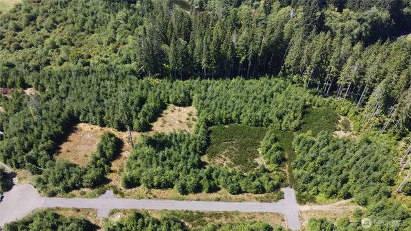 $90,000 | 9999 King Johns-lot 2 Raven Sp Way Forks, Forks, WA 98331