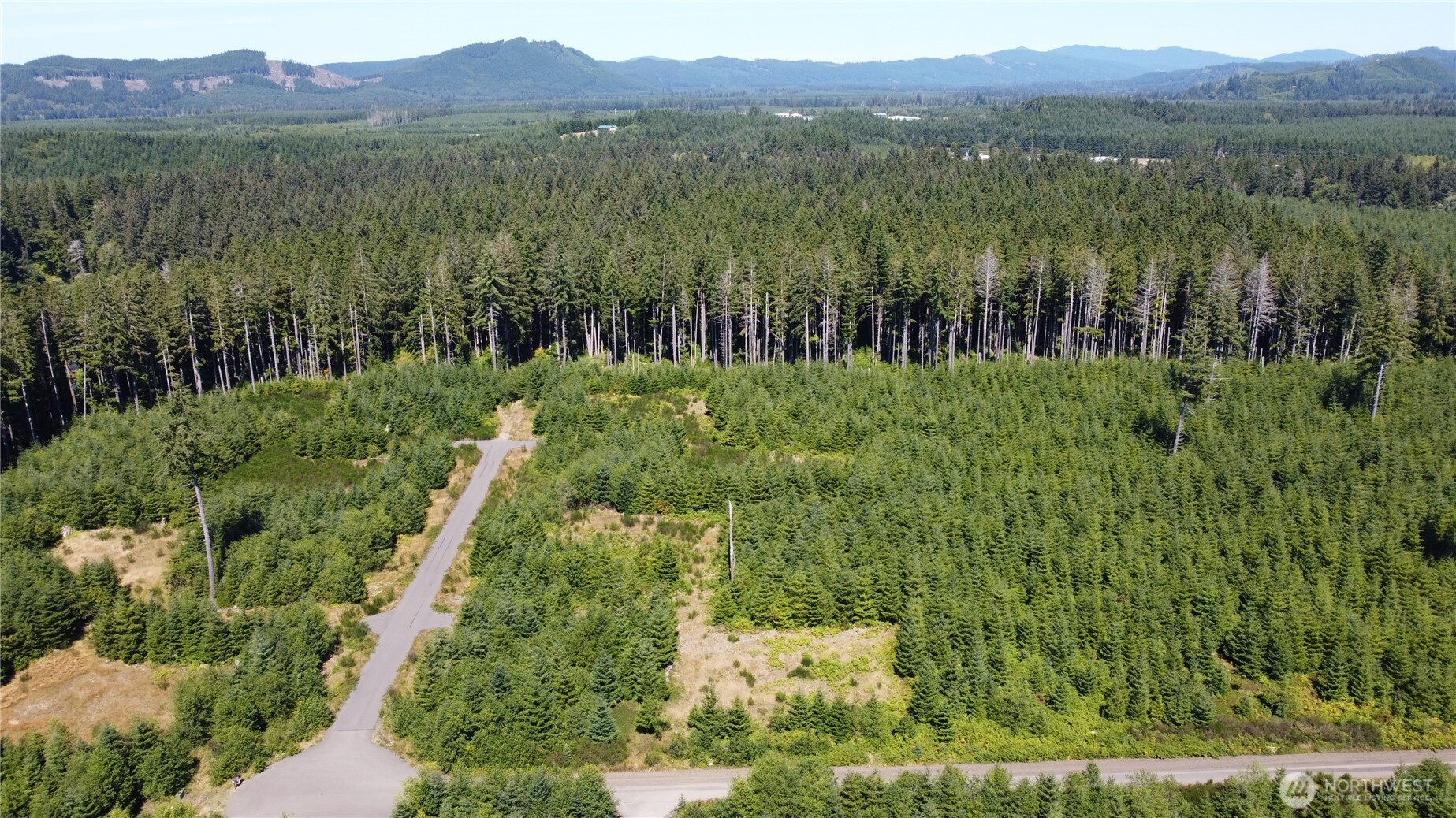 9999 King Johns-lot 2 Raven Sp Way Forks Forks, WA 98331 - Photo 3 of 8