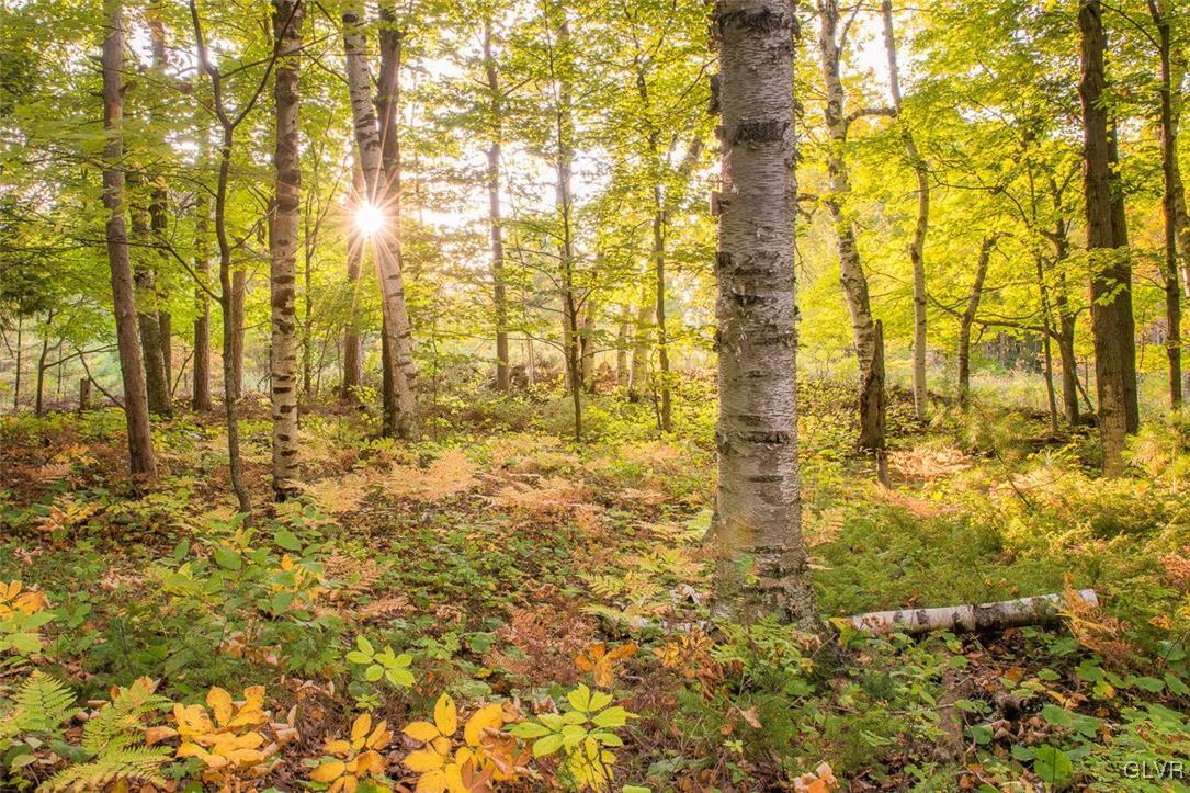 West Ridge Drive Newfoundland, PA 18445 - Photo 3 of 9 a bathroom with a blue shower
