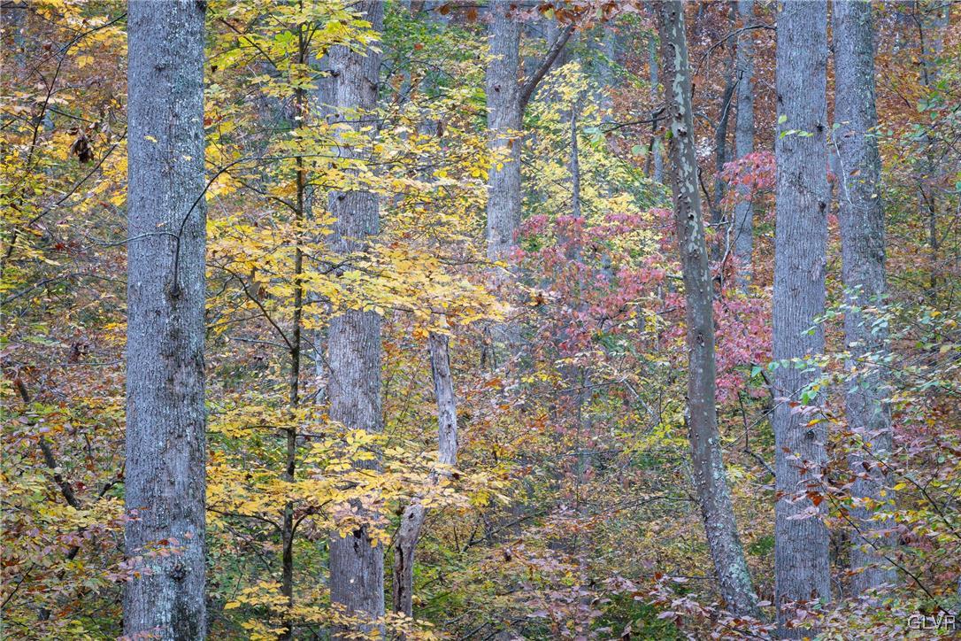 West Ridge Drive Newfoundland, PA 18445 - Photo 4 of 9 a view of location