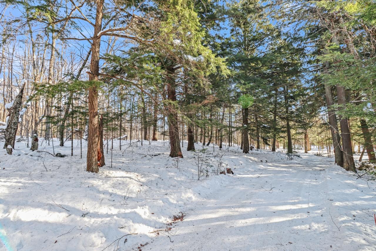 7103 Big Lake Road Land O'Lakes, WI 54540 - Photo 22 of 26 Gallery Image 22