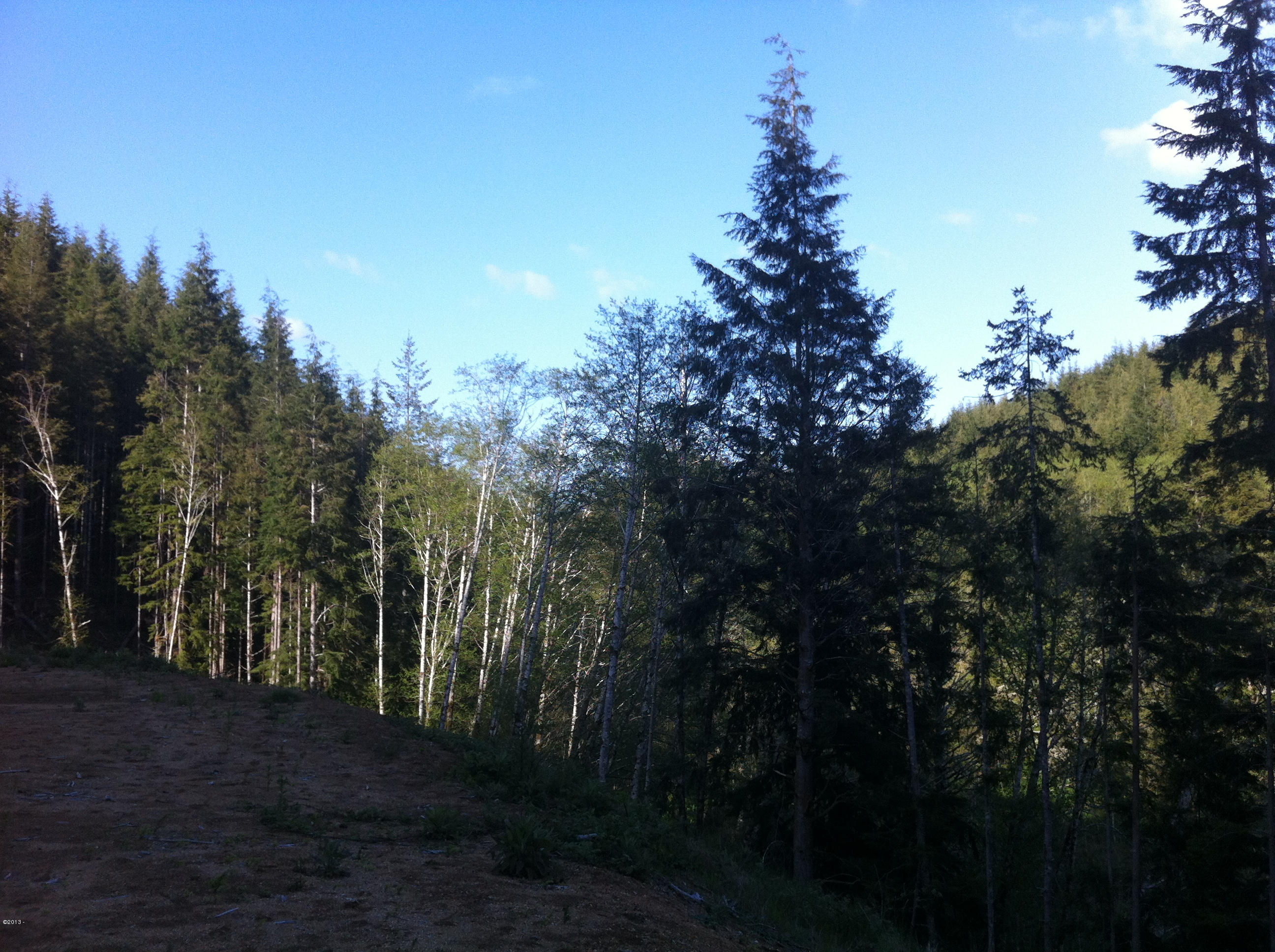 401 South Anderson Creek Road Lincoln City, OR 97367 - Photo 12 of 16 061