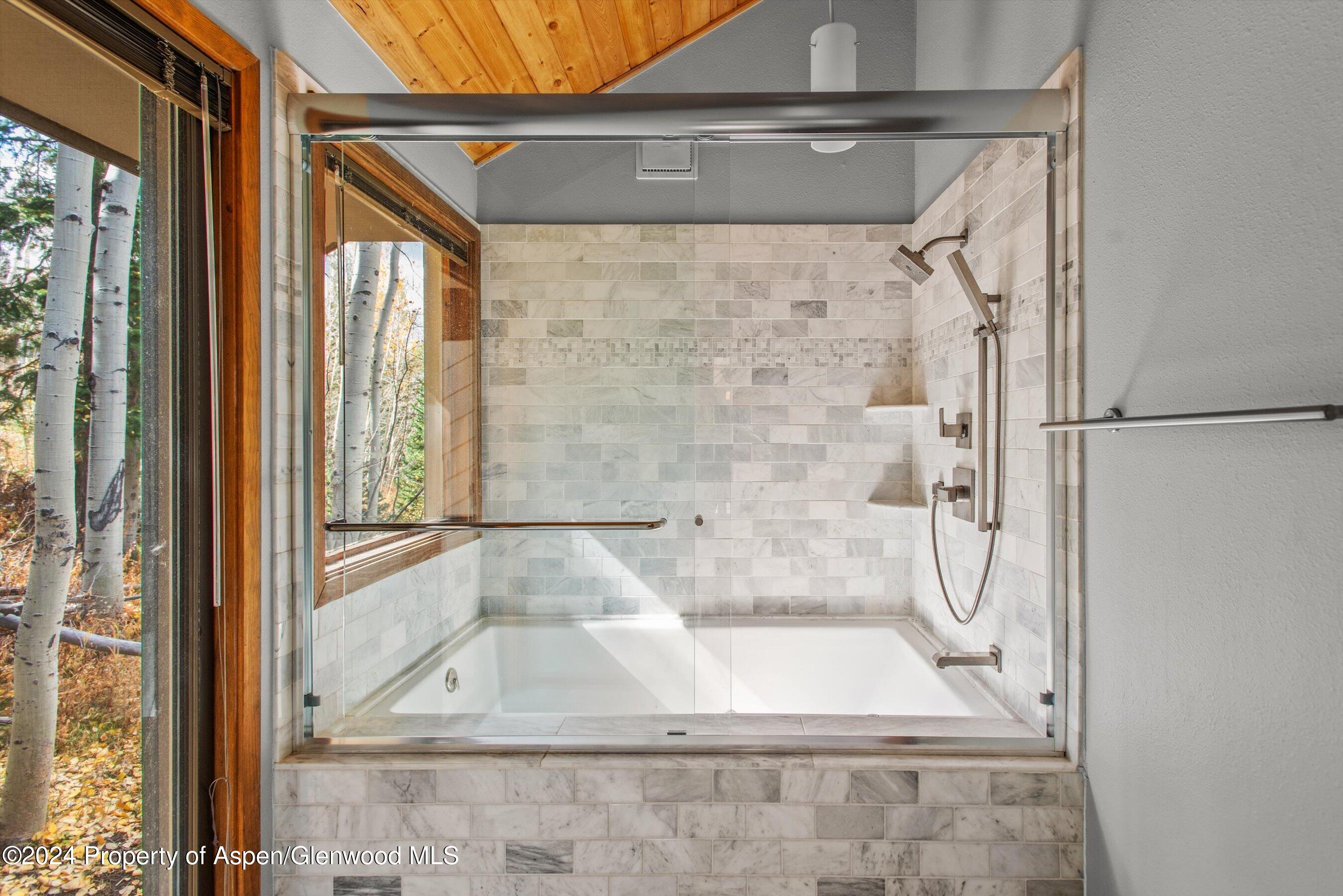 2055 Faraway Road Snowmass Village, CO 81615 - Photo 17 of 28 19-2055Faraway_241014039