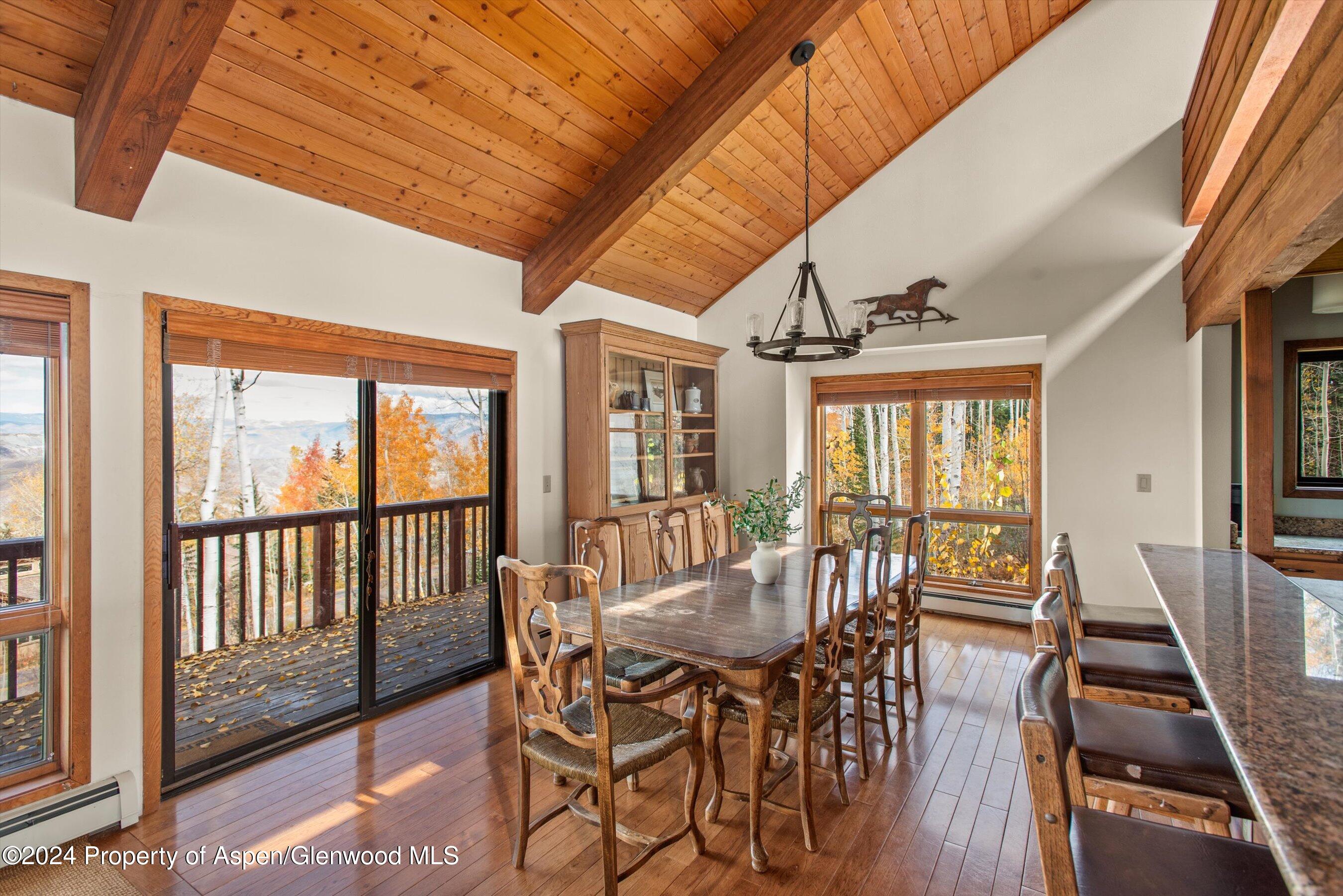 2055 Faraway Road Snowmass Village, CO 81615 - Photo 8 of 28 17-2055Faraway_241014018