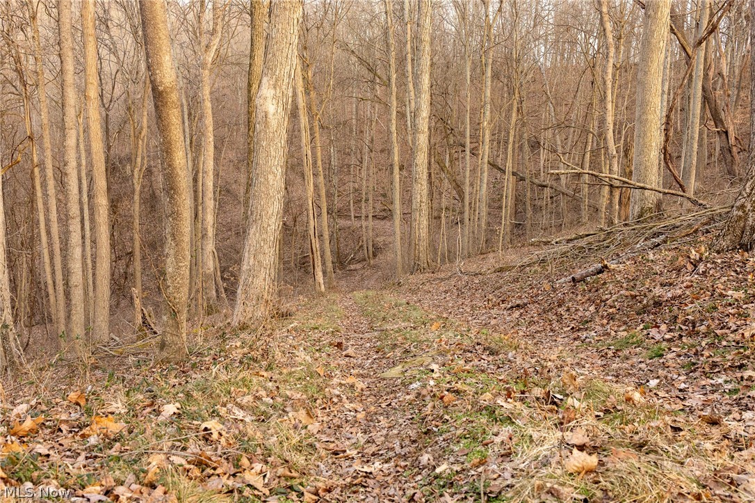 32290 Bailey Run Road Pomeroy, OH 45769 - Photo 22 of 41