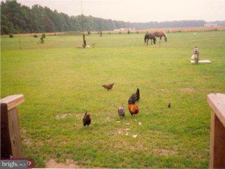 2724 Underwoods Corner Road Clayton, DE 19938 - Photo 4 of 6 Gallery Image 4