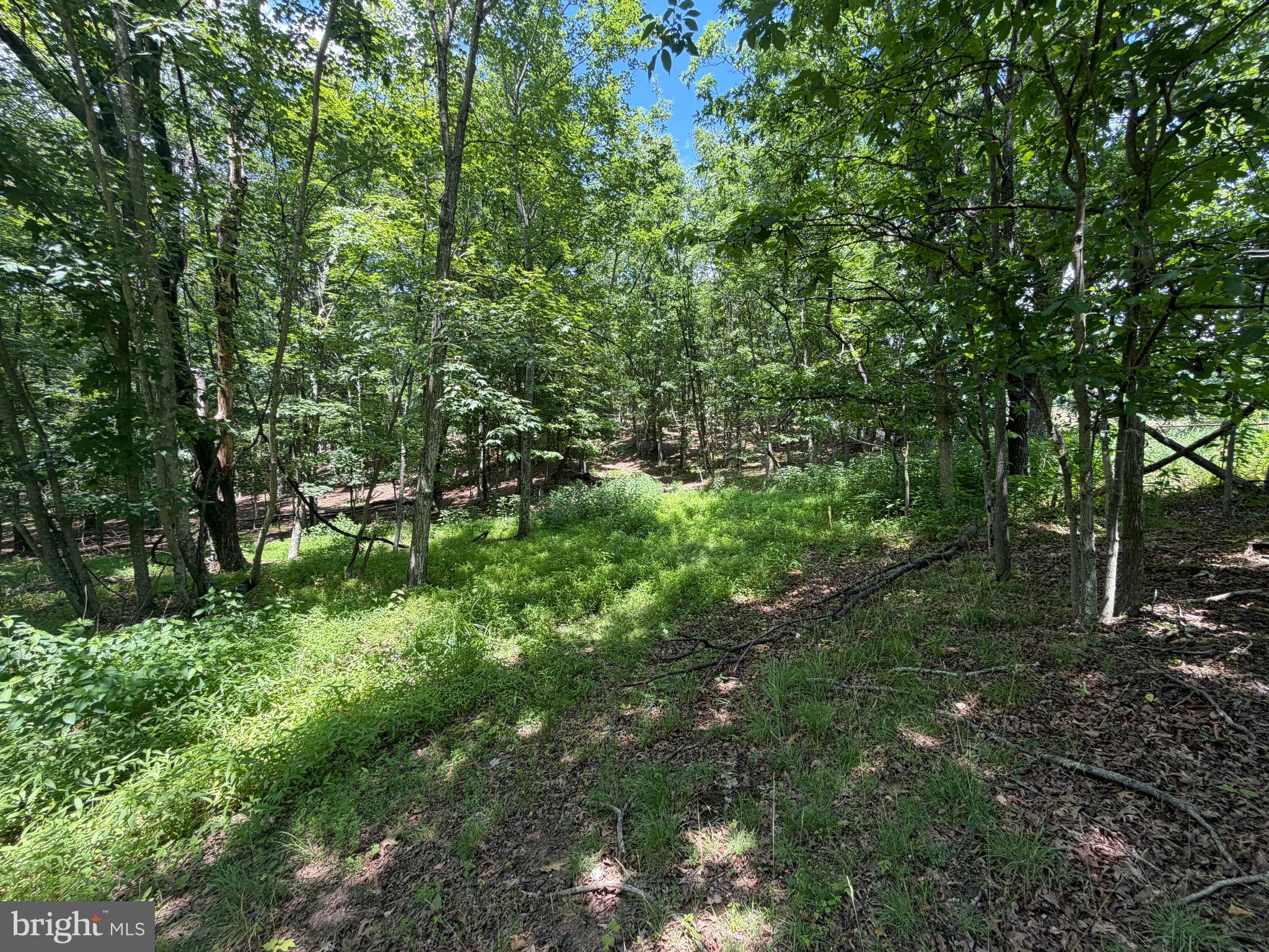 0 Headsville Road Keyser, WV 26726 - Photo 10 of 24