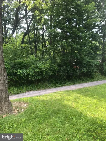 a view of a yard with a tree