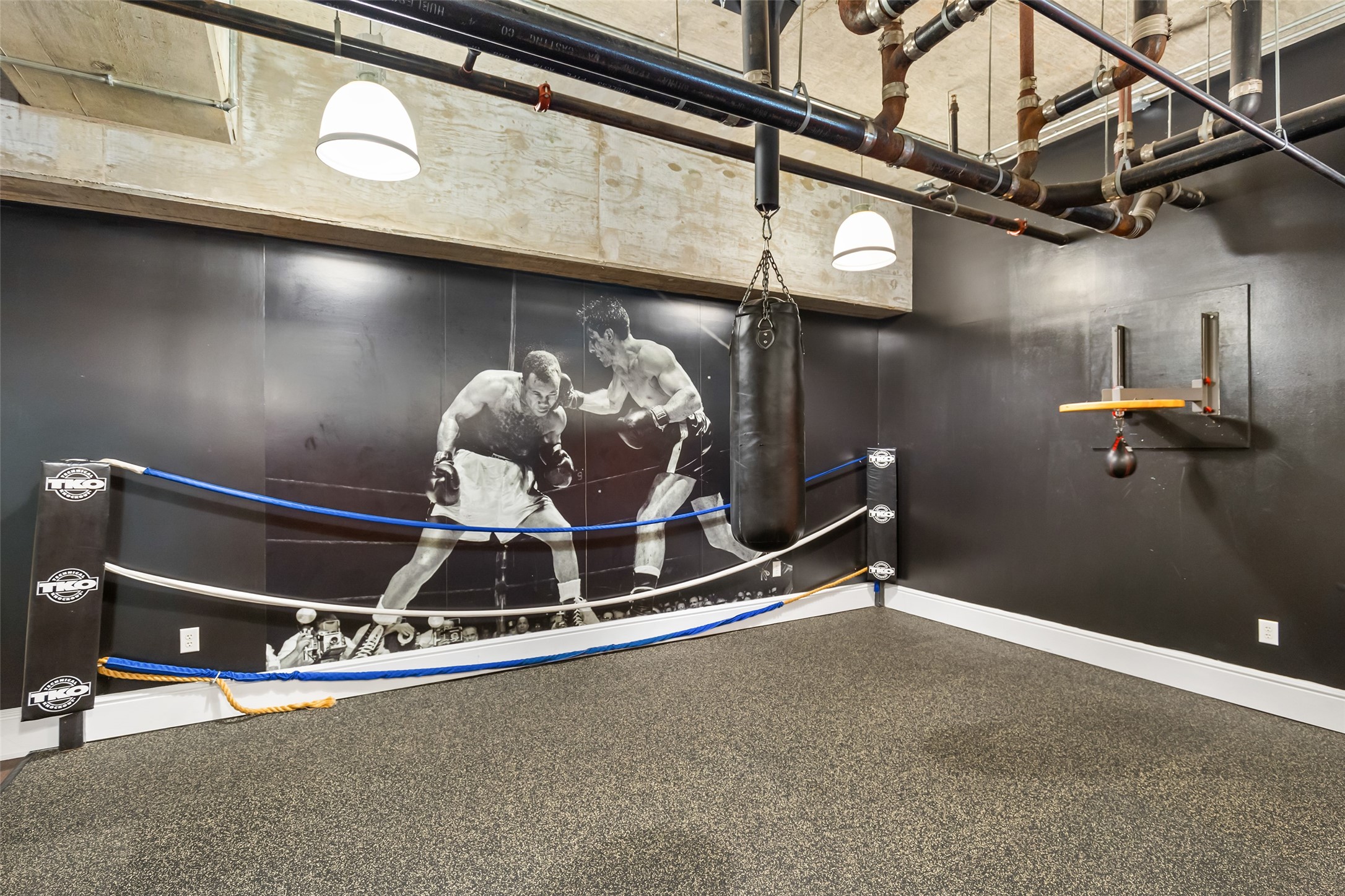 5925 Almeda Road, Unit 11501 Houston, TX 77004 - Photo 21 of 30 a room with gym equipment