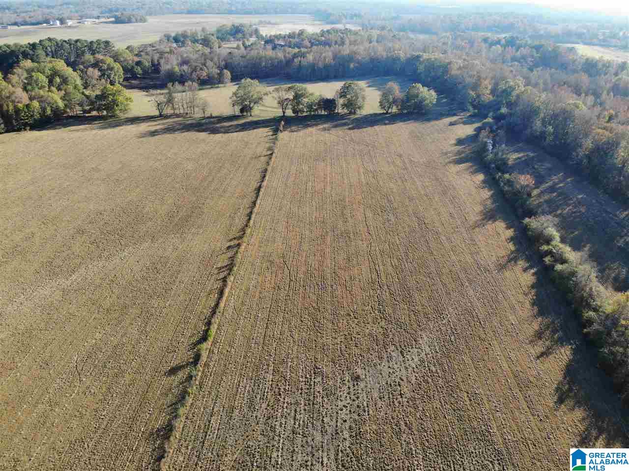 4950 Plantersville Road Alpine, AL 35014 - Photo 7 of 47 Gallery Image 7