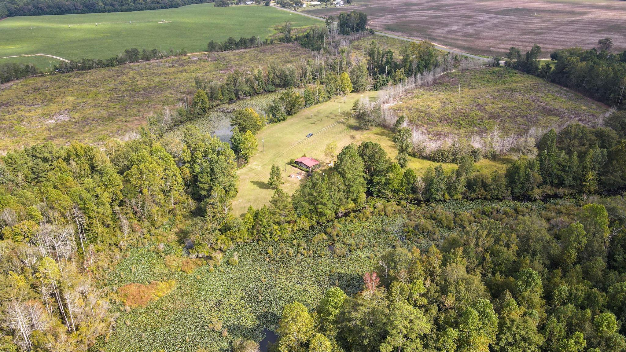 1420 Baltic Road Blackville, SC 29817 - Photo 9 of 22