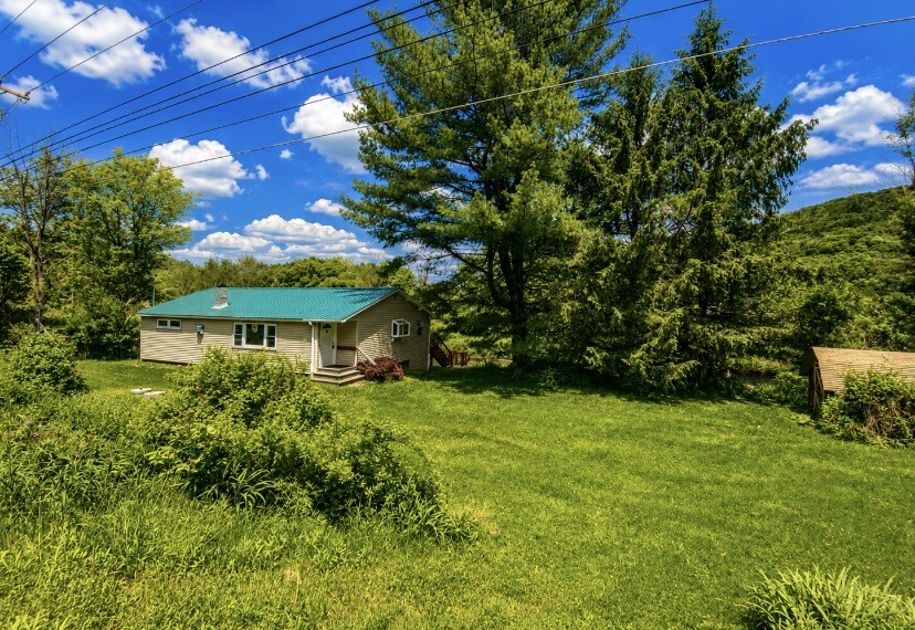 646 River Road Deposit, NY 13754 - Photo 3 of 16 yard and shed