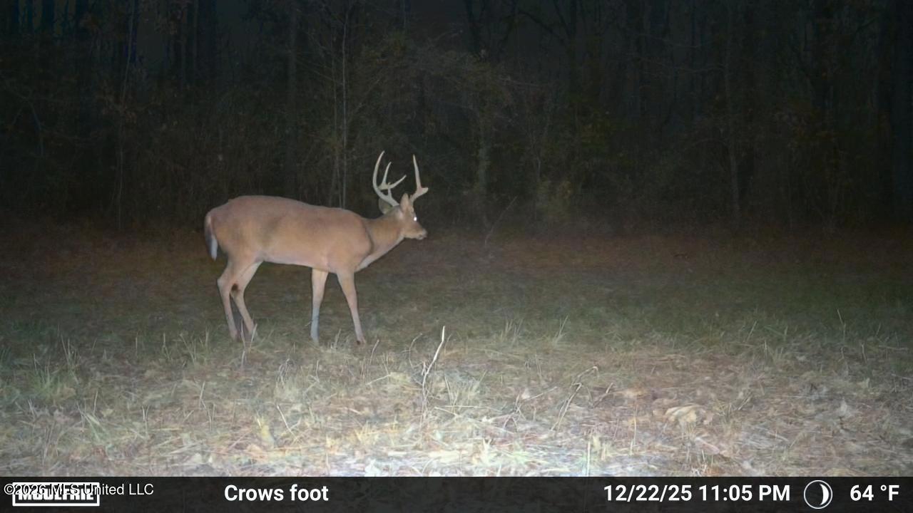 1060 Pearline Bailey Rd Port Port Gibson, MS 39150 - Photo 63 of 63 4076