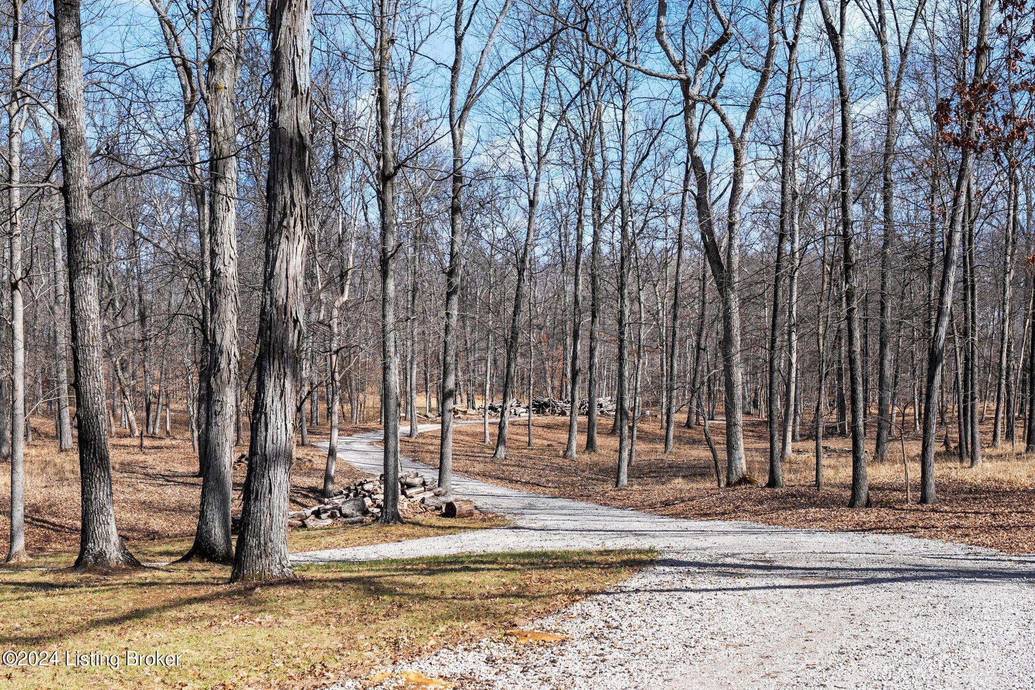 1400 Rebel Ridge Road La Grange, KY 40031 - Photo 58 of 66 Tree-lined Drive