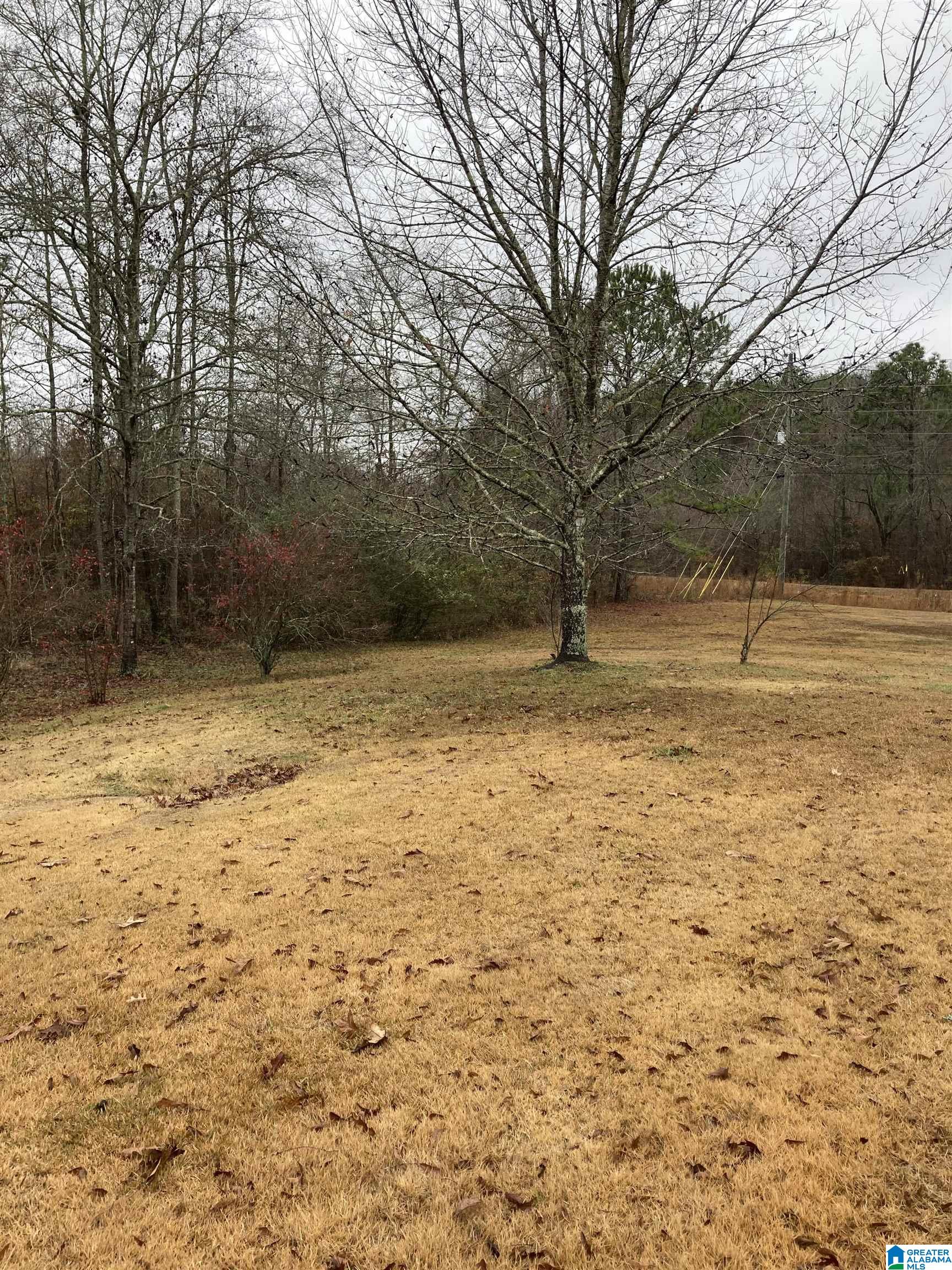 3675 Providence Road Talladega, AL 35160 - Photo 29 of 30