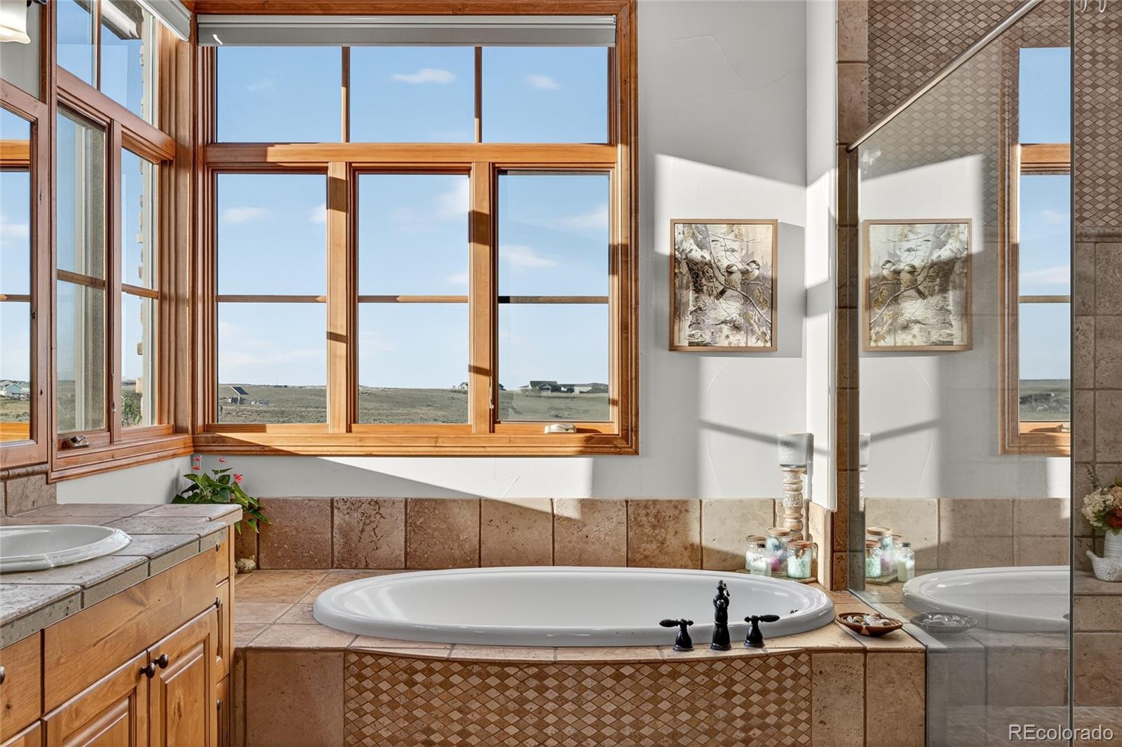 5001 Raintree Circle Parker, CO 80134 - Photo 32 of 50 a bath tub sitting next to a window
