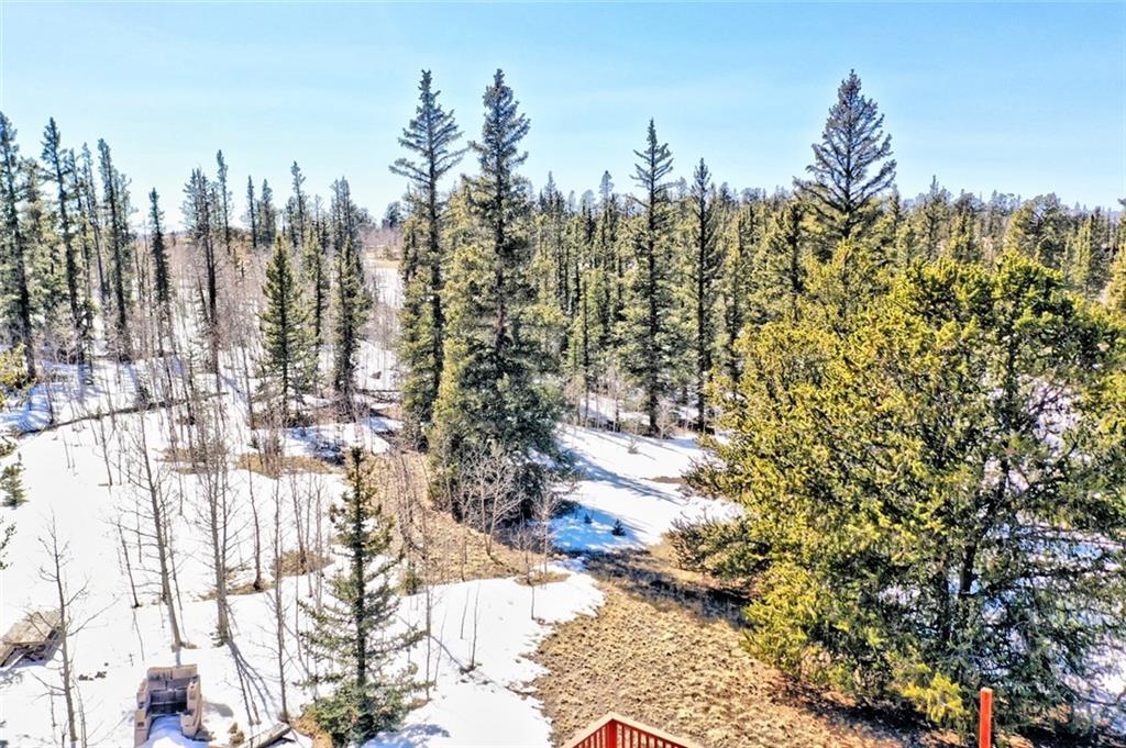 81 Long Rifle Way Como, CO 80432 - Photo 12 of 34 Gallery Image 12