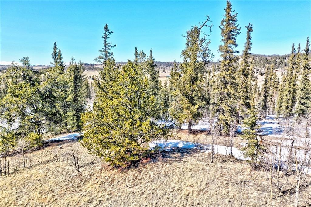 81 Long Rifle Way Como, CO 80432 - Photo 16 of 34 Gallery Image 16