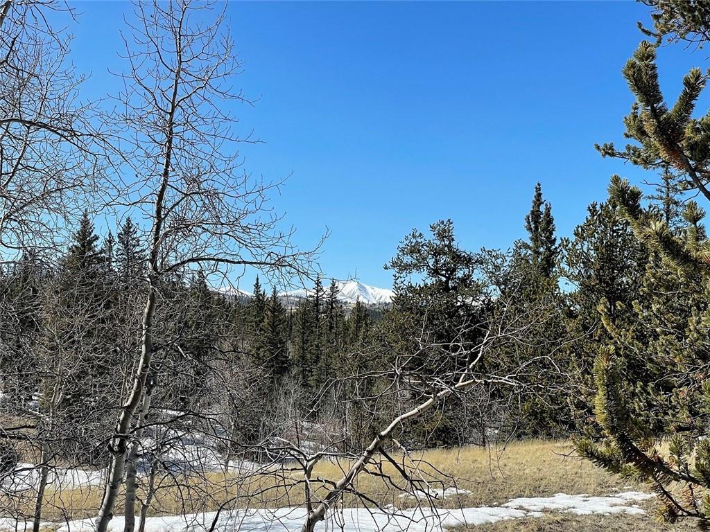 81 Long Rifle Way Como, CO 80432 - Photo 26 of 34 Gallery Image 26