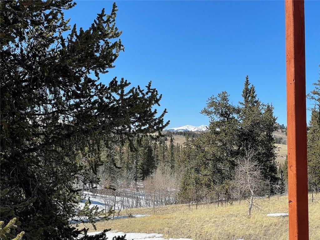 81 Long Rifle Way Como, CO 80432 - Photo 31 of 34 Gallery Image 31