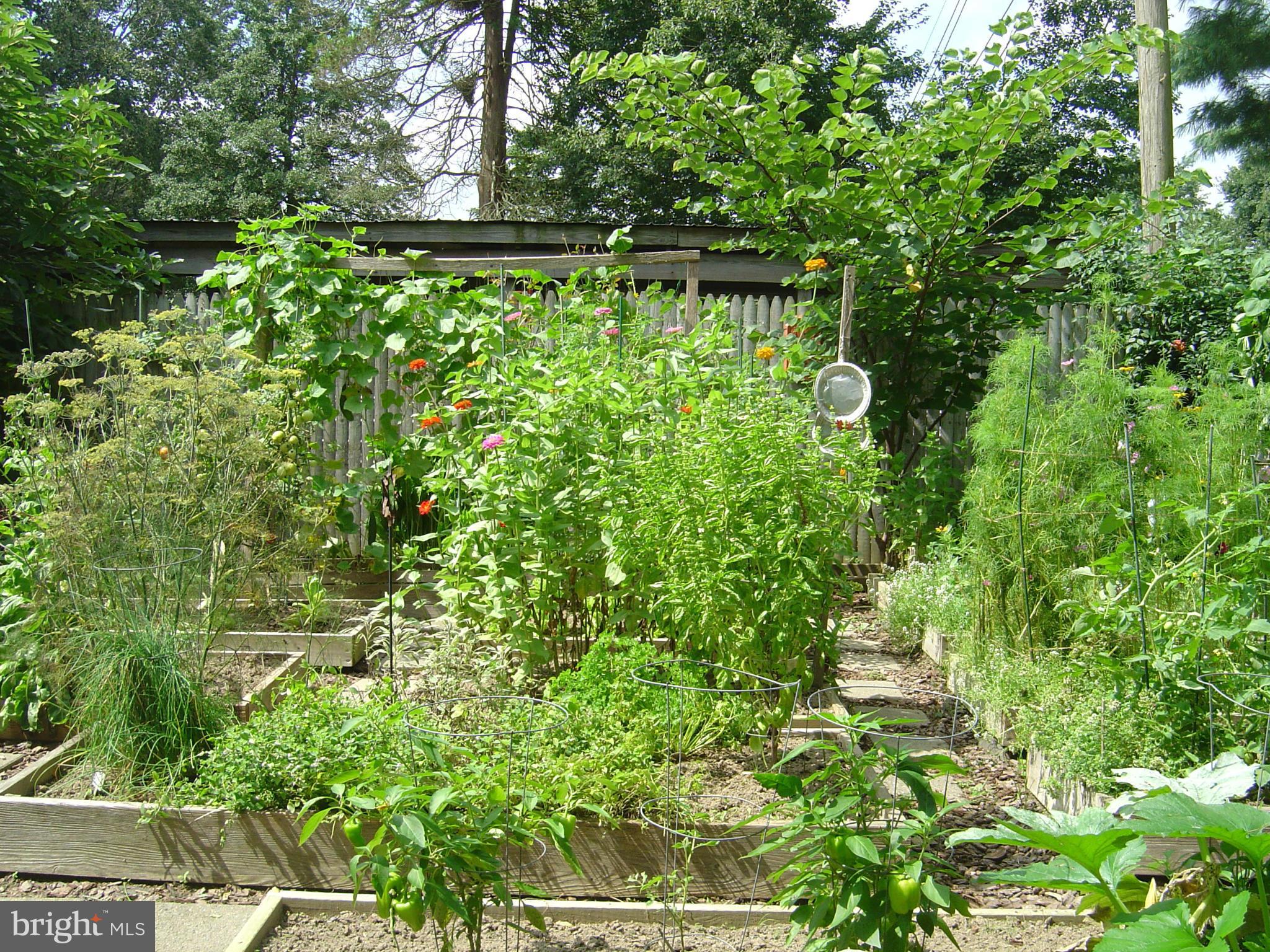 112 Maple Avenue Ridgely, MD 21660 - Photo 28 of 30 The Garden Spot