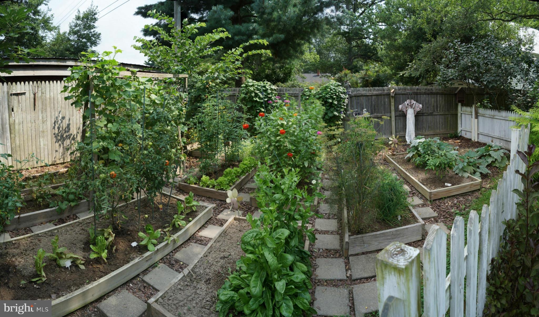 112 Maple Avenue Ridgely, MD 21660 - Photo 29 of 30 Raised Beds & Picket Fence