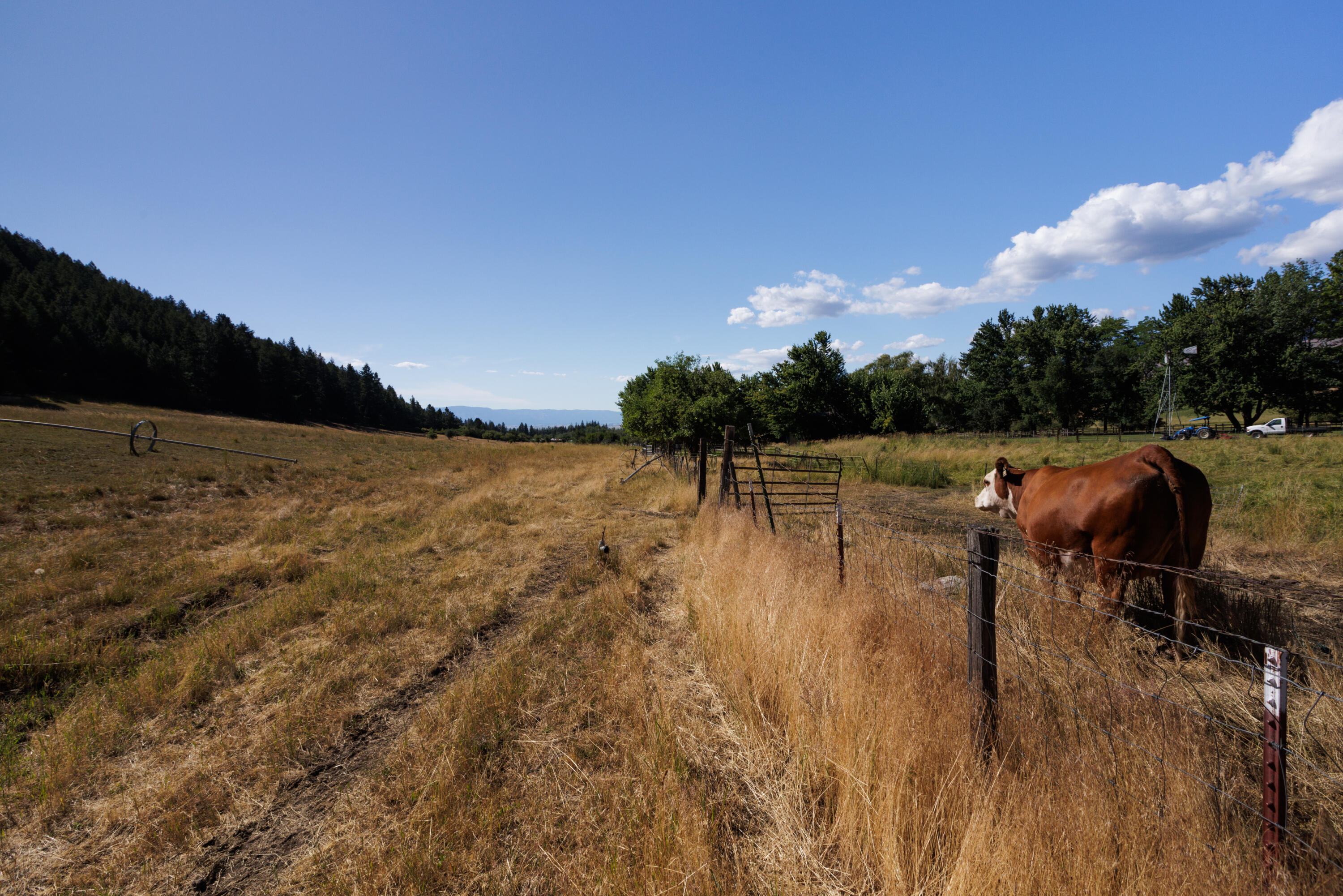 59926 Comstock Road Cove, OR 97824 - Photo 43 of 47 ER5_2492
