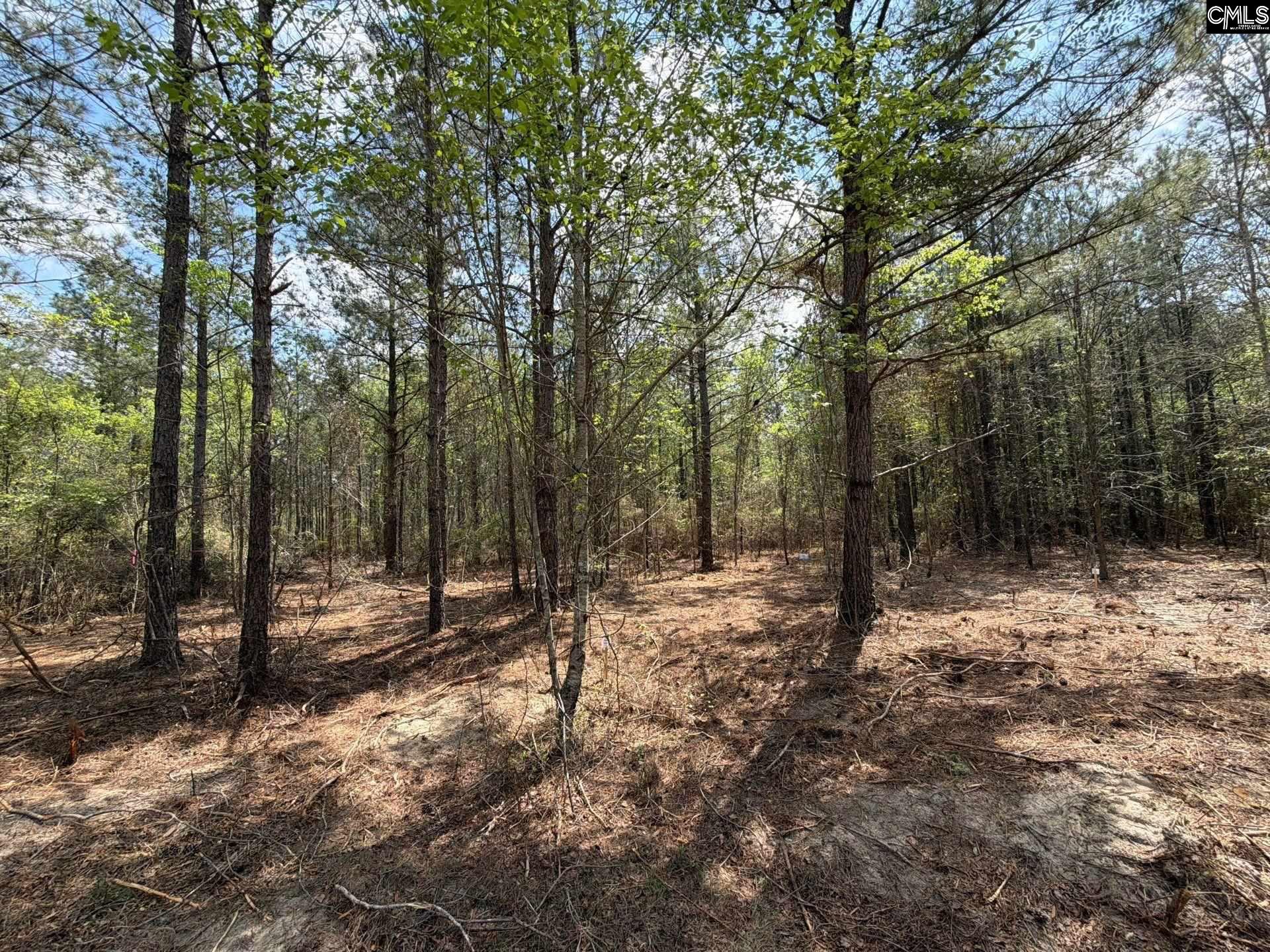 2 Mt Calvary Rd Ridge Spring, Unit CA 2 Ridge Spring, SC 29129 - Photo 11 of 29