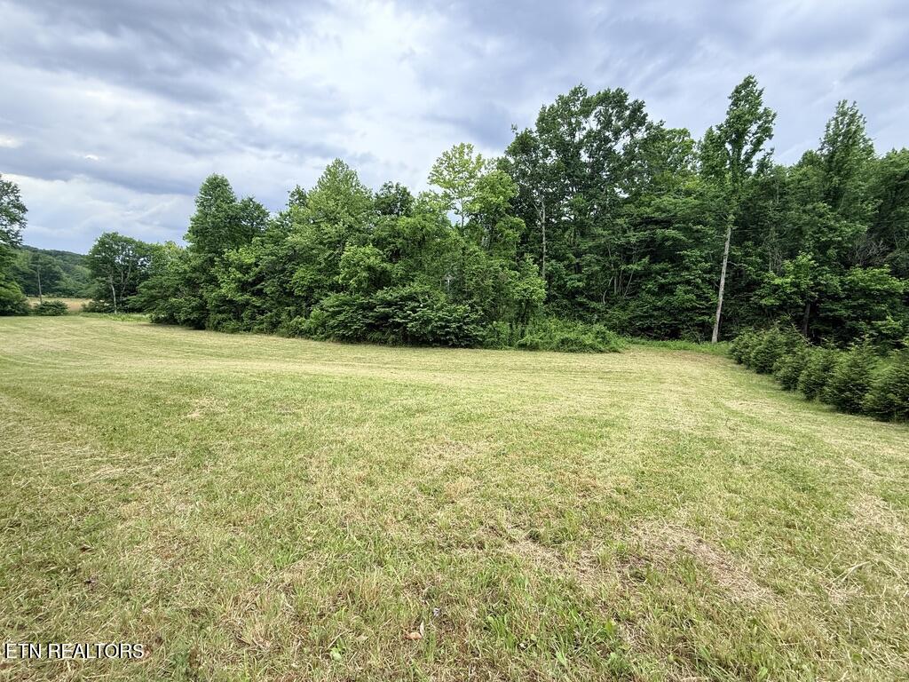 3 Rd Seymour Tn 37865 Seymour, TN 37865 - Photo 15 of 23 E90739B0-5F2C-4B85-9995-8F926C707934_1_1