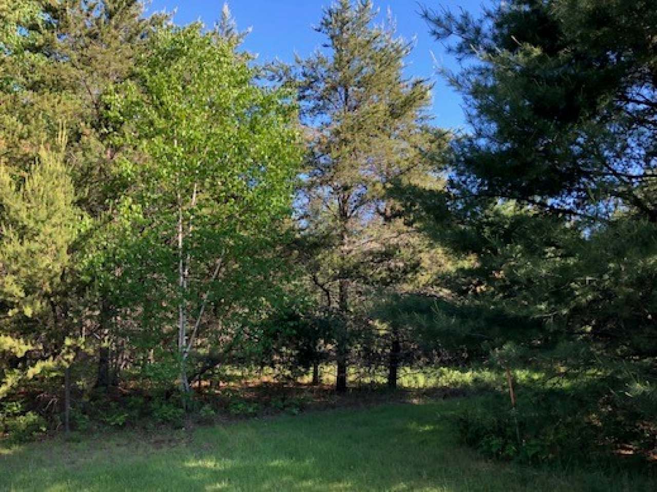 Three Lakes Wi 54562 Road Eagle River, WI 54521 - Photo 1 of 5 Gallery Image 1