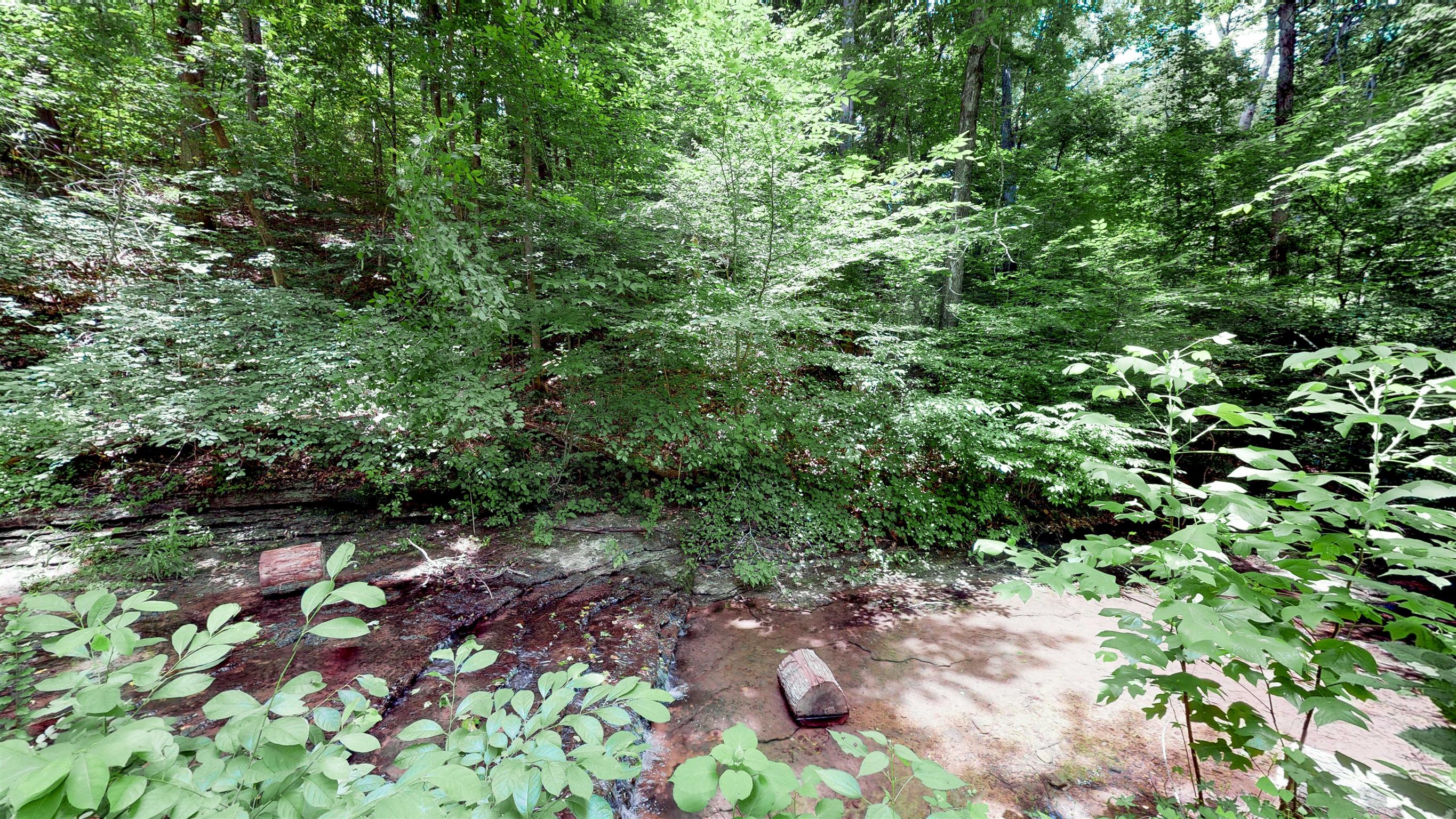 7117 Haskell School Road Fairview, TN 37062 - Photo 27 of 30 Flowing Creek Right off Back Porch!
