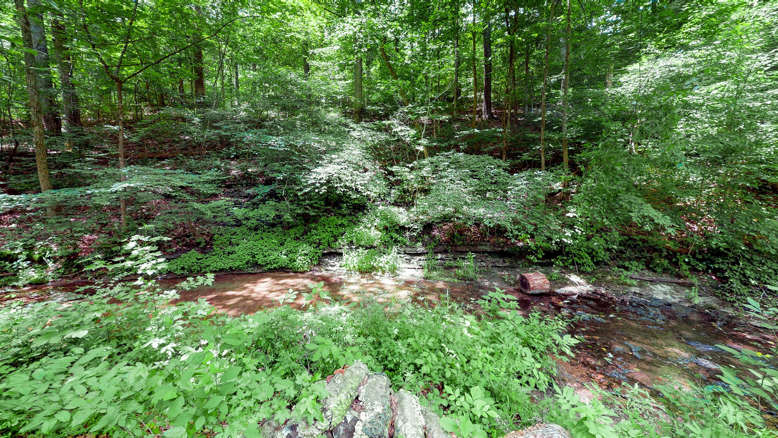 7117 Haskell School Road Fairview, TN 37062 - Photo 28 of 30 So Peaceful!