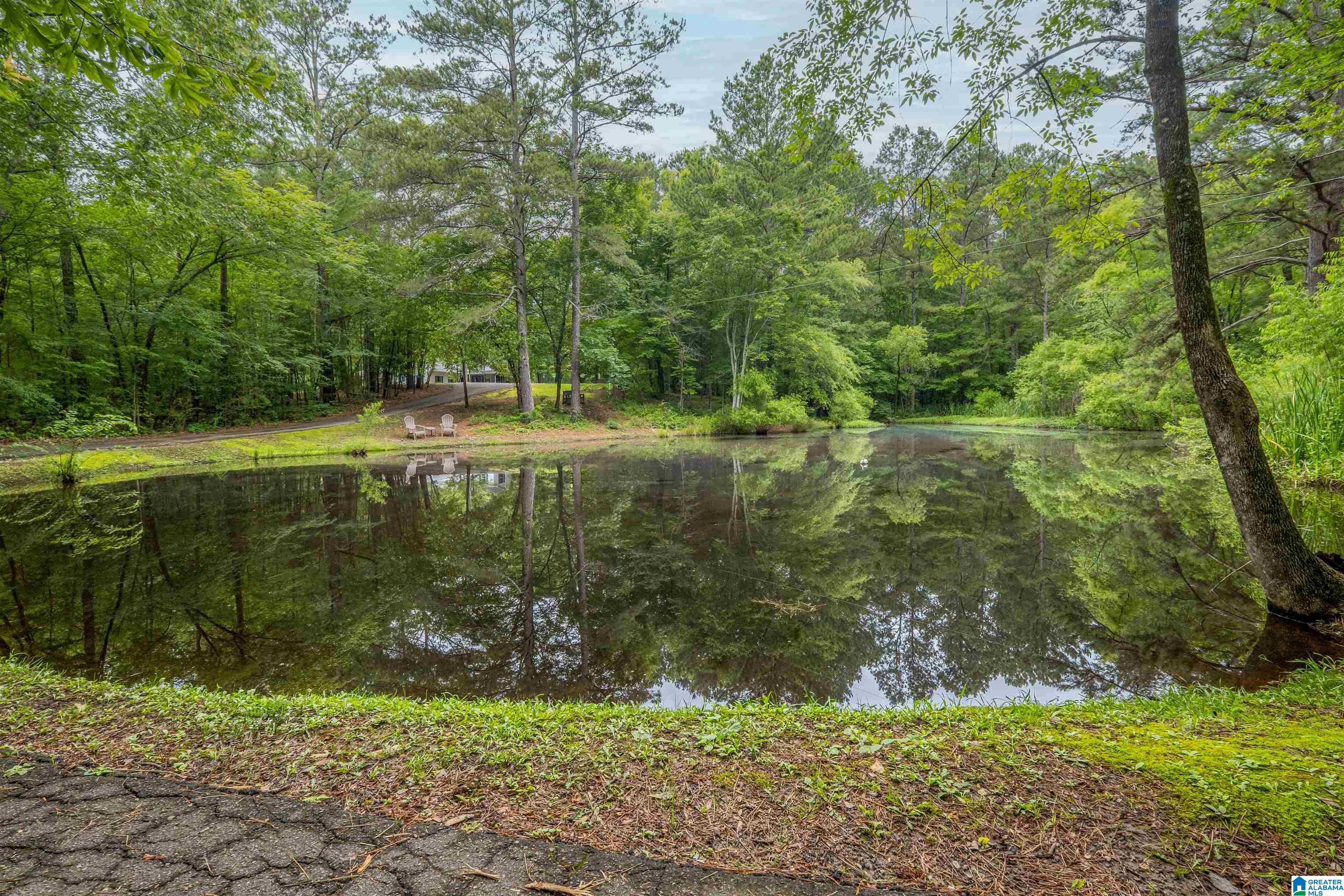 1329 Nisbet Lake Road Jacksonville, AL 36265 - Photo 46 of 60