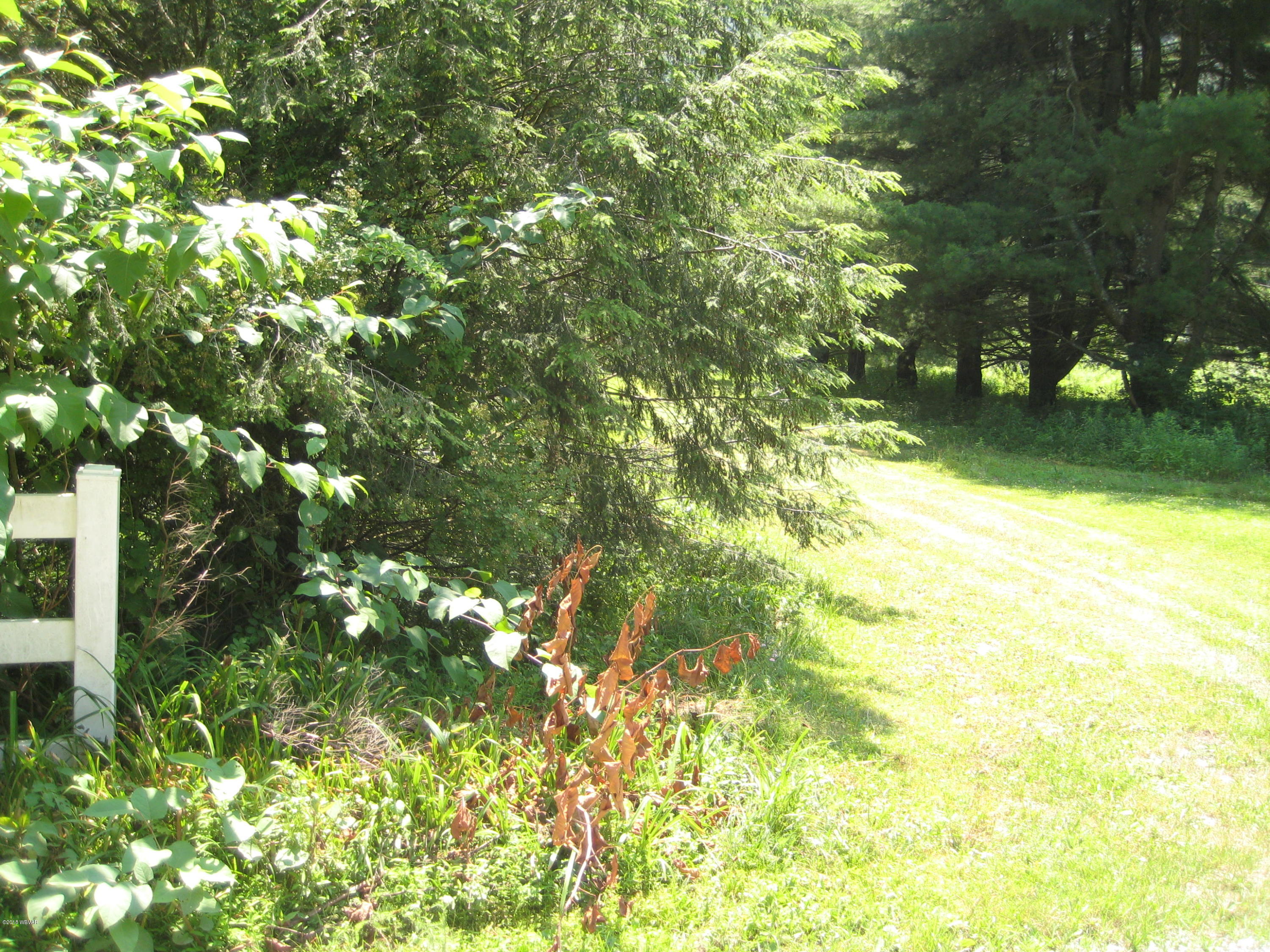 41 Buttonwood Road Hillsgrove, PA 18619 - Photo 5 of 15 IMG_2153