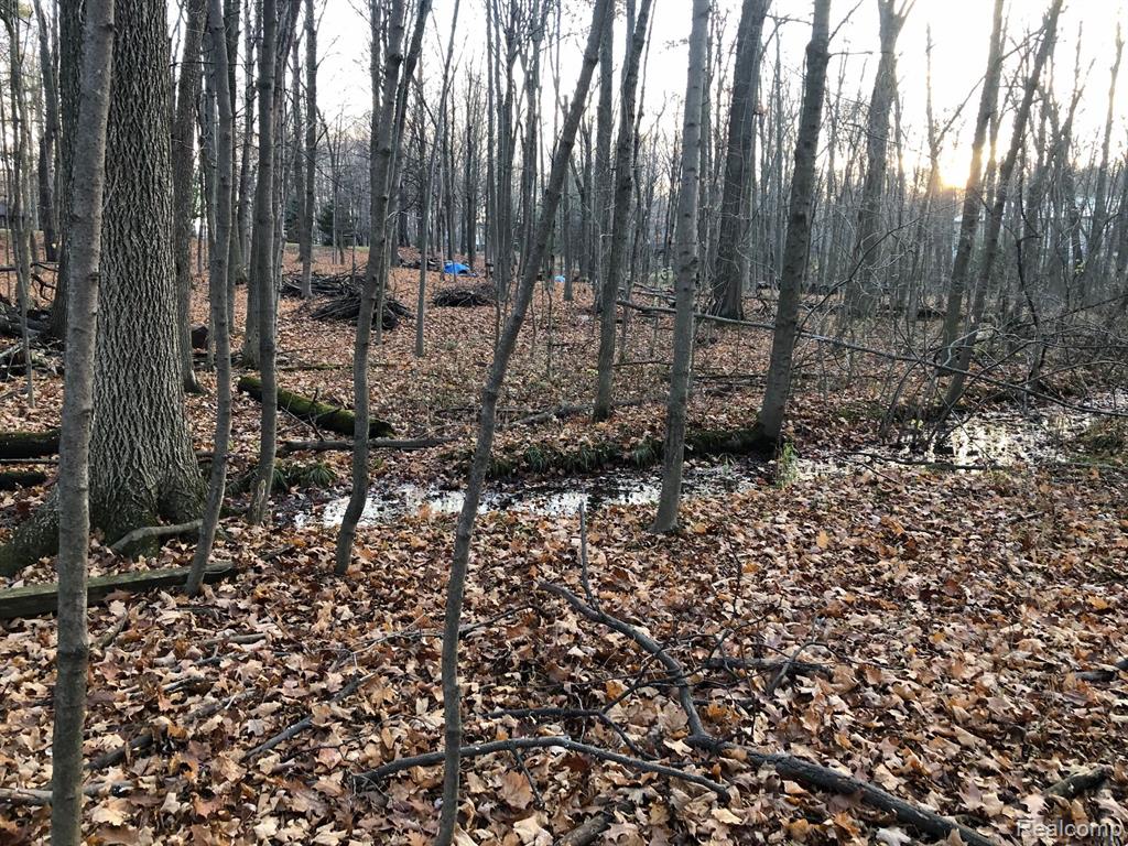0 East Brocker Road Metamora, MI 48455 - Photo 21 of 25