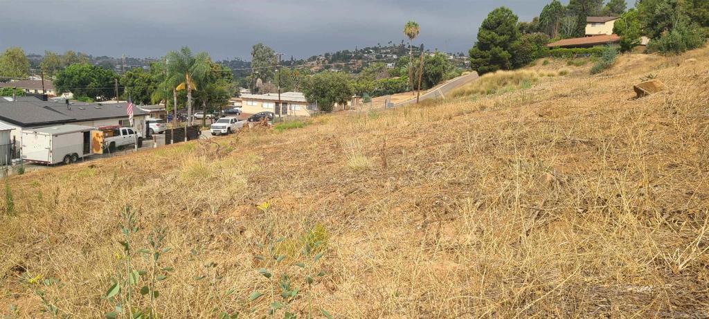 0 Helix Street Spring Valley, CA 91977 - Photo 6 of 8 a view of a yard with plants and trees