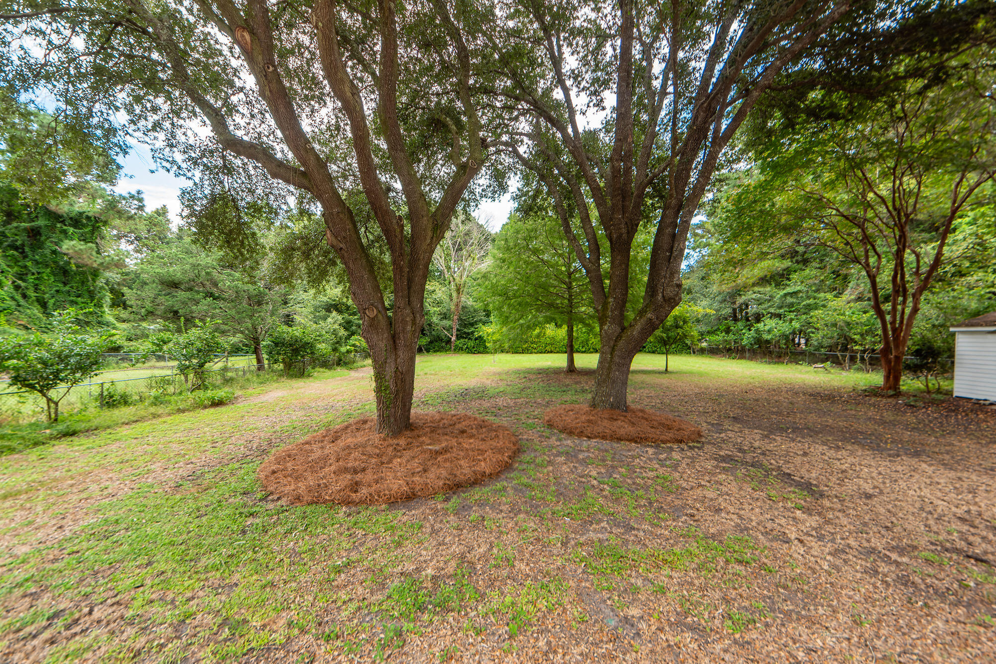 3166 Edenvale Road Johns Island, SC 29455 - Photo 22 of 30 3166 Edenvale 48